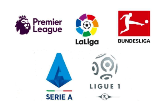 他们都需要 他们都需要